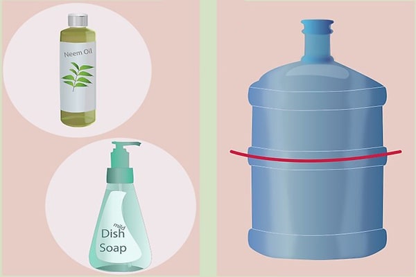 Pha tinh dầu neem với nước và xà phòng