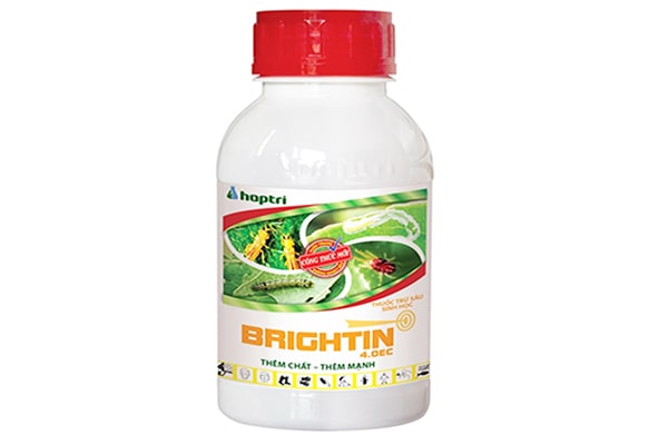 Brightin 4.0EC