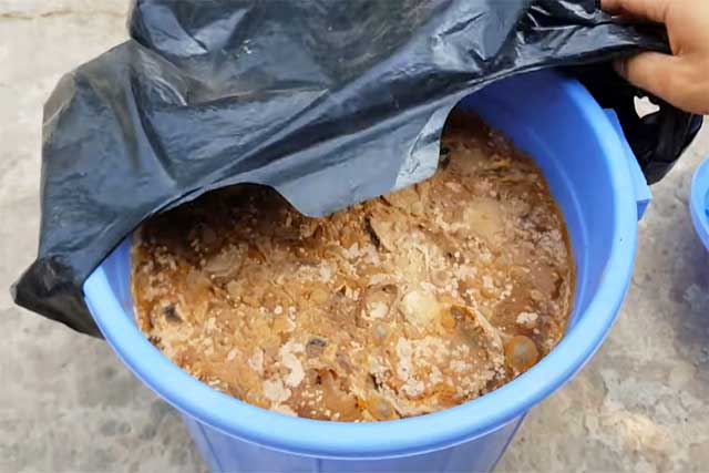 Cách ủ phân bón hữu cơ 6