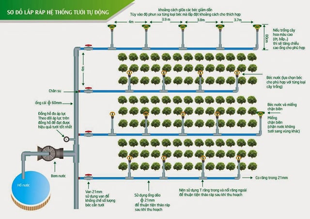 Thiết bị tưới nhỏ giọt