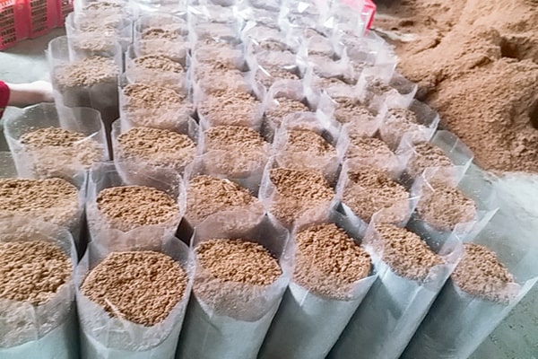 Cách trồng nấm rơm bằng sọt  Viện nghiên cứu sinh học ứng dụng