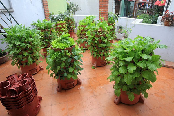 Tháp trồng rau hữu cơ Eco