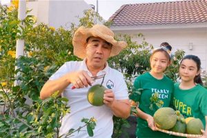 MC Quyền Linh cùng hai con thu hoạch cây ăn quả trồng trong chậu trên sân thượng