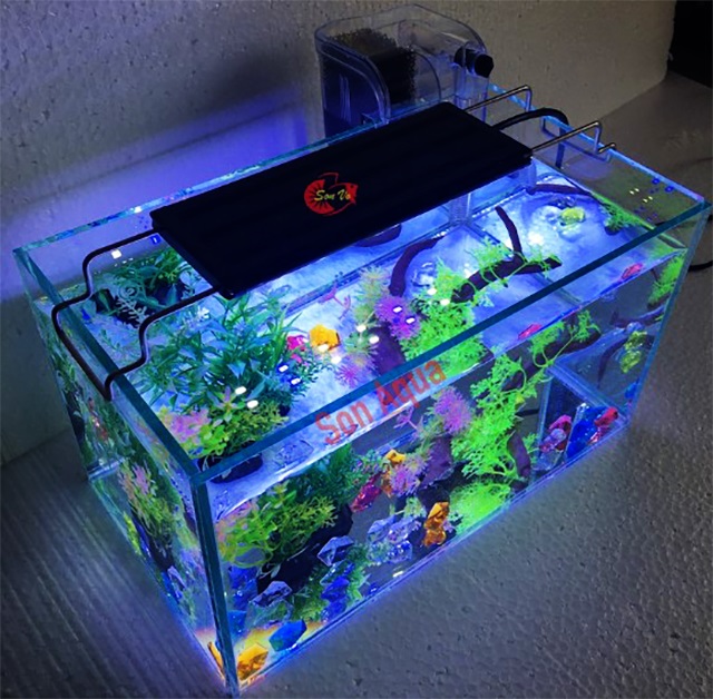 bể cá mini Combo gồm hồ đèn lọc, trọn bộ hồ cá để bàn thủy sinh phong thủy