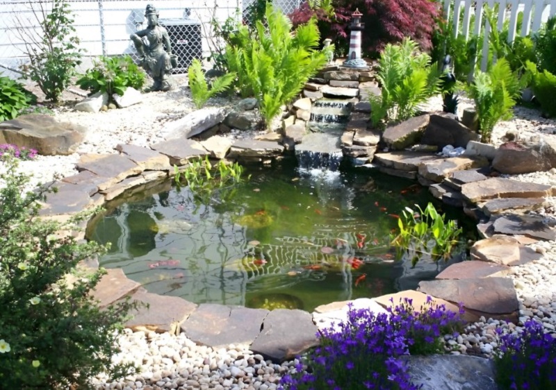 Tiểu cảnh hồ cá mini tạo cảnh thiên nhiên cho sân vườn